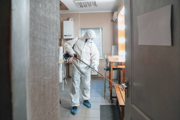 Best Black Mold Removal  in West Van Lear, KY