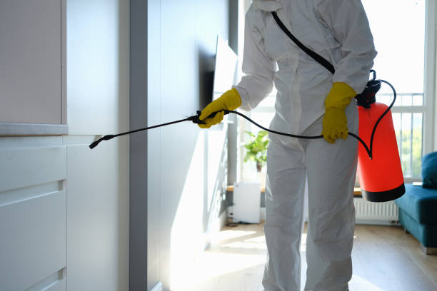 Best Emergency Mold Remediation  in West Van Lear, KY