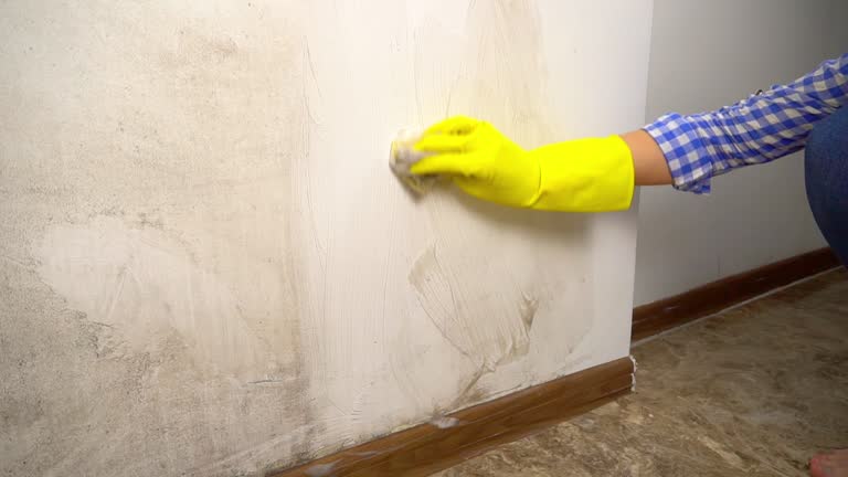 Best Air Quality Testing for Mold Spores  in West Van Lear, KY